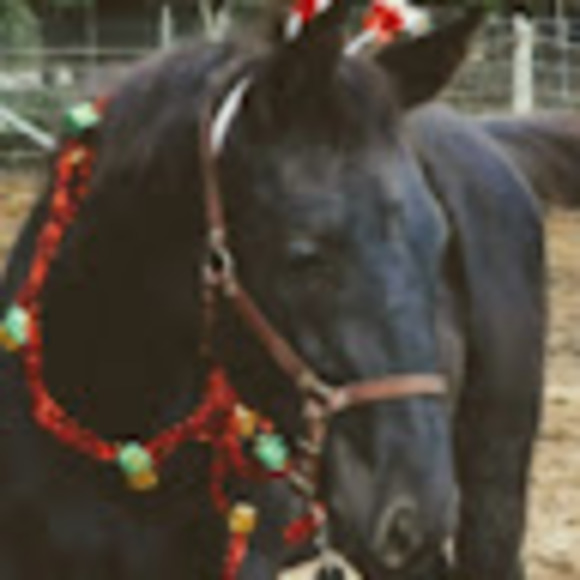 Meet your Posher, Kellie - Picture 1 of 1